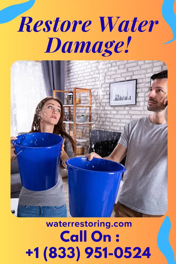 water restoration Direct Sewage Cleanup Brothers Nickelsville