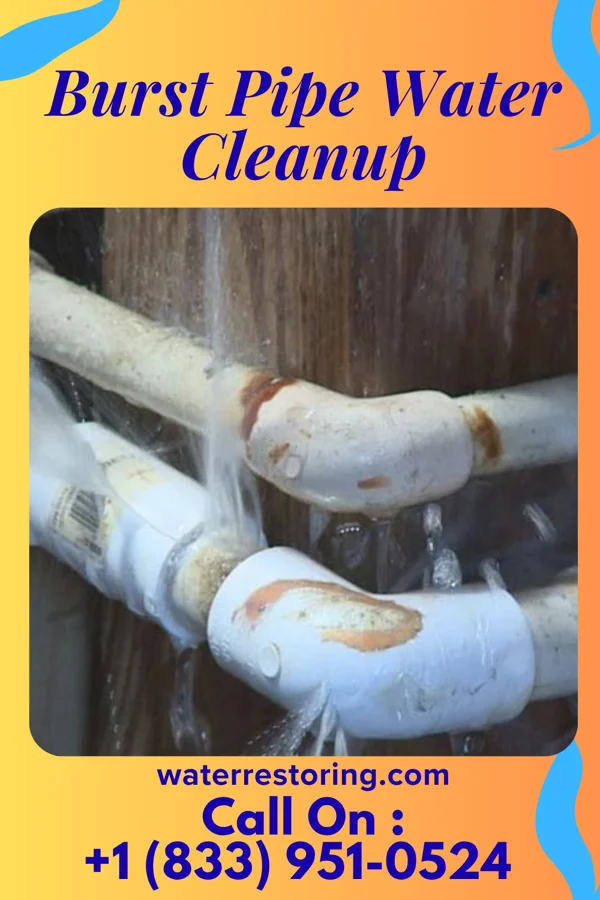 Burst Pipe Water Cleanup in Nickelsville, VA