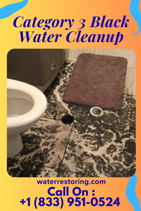Category 3 Black Water Cleanup in Nickelsville, VA