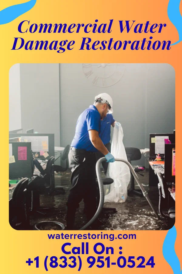 Commercial Water Damage Restoration in Nickelsville, VA