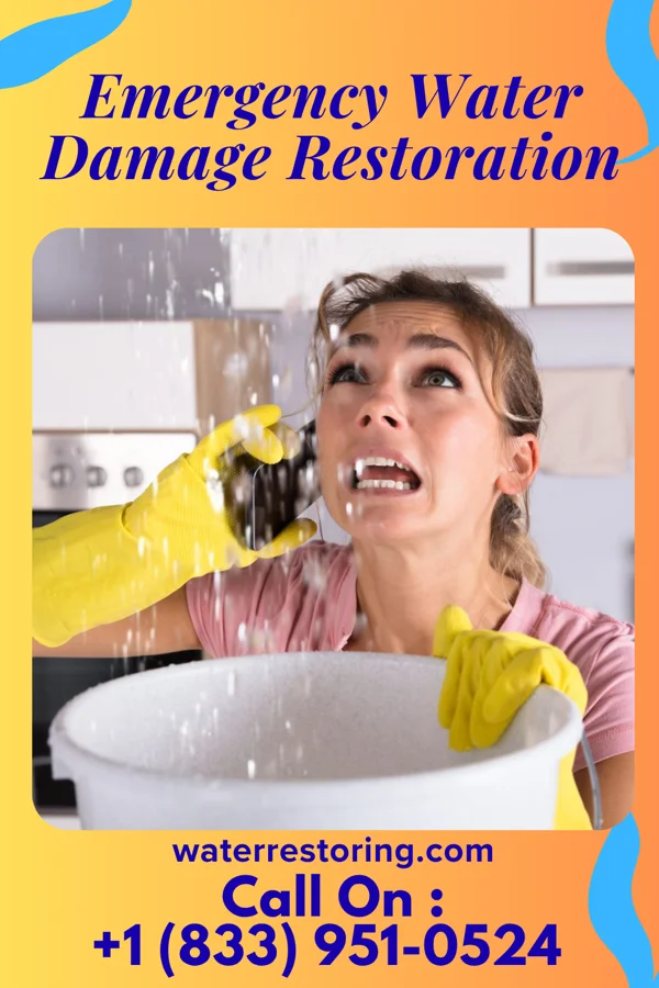 Emergency Water Damage Restoration in Nickelsville, VA