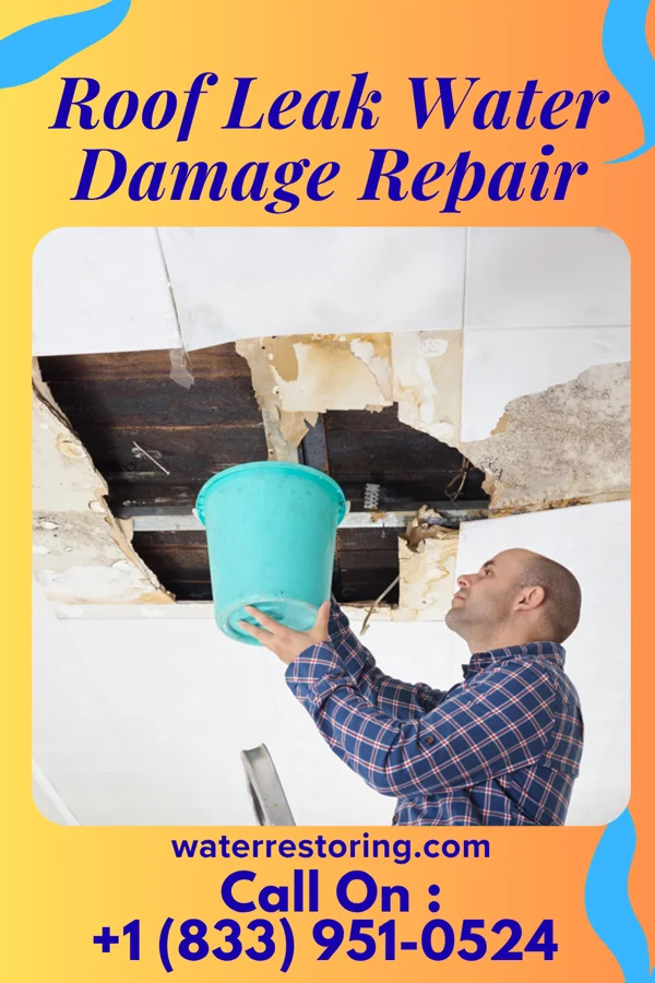 Roof Leak Water Damage Repair in Nickelsville, VA