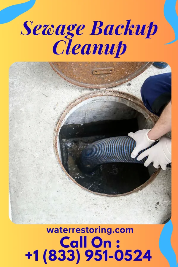 Sewage Backup Cleanup in Nickelsville, VA