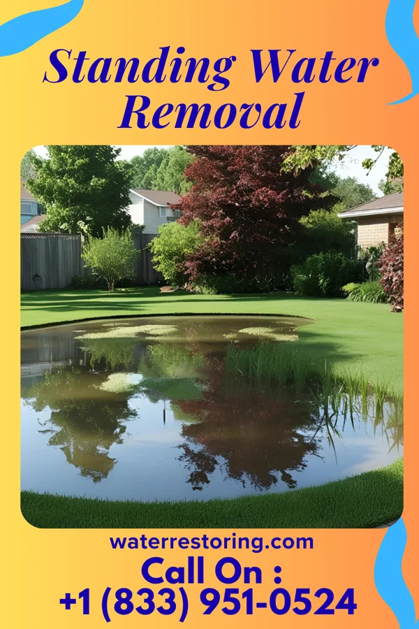 Standing Water Removal in Nickelsville, VA